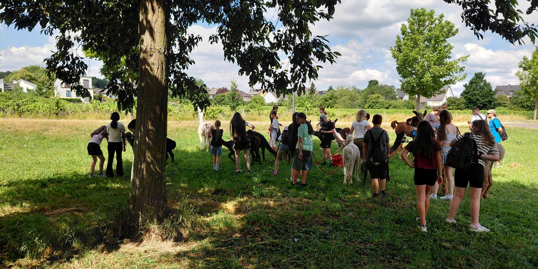 Bei der Ferienfreizeit „#EchtStark“ der Clara-Viebig-Realschule plus entdeckten die Teilnehmenden ihre Stärken, knüpften neue Freundschaften und erlebten eine abwechslungsreiche Woche voller Bewegung, Gemeinschaft und Mut machender Erfahrungen.