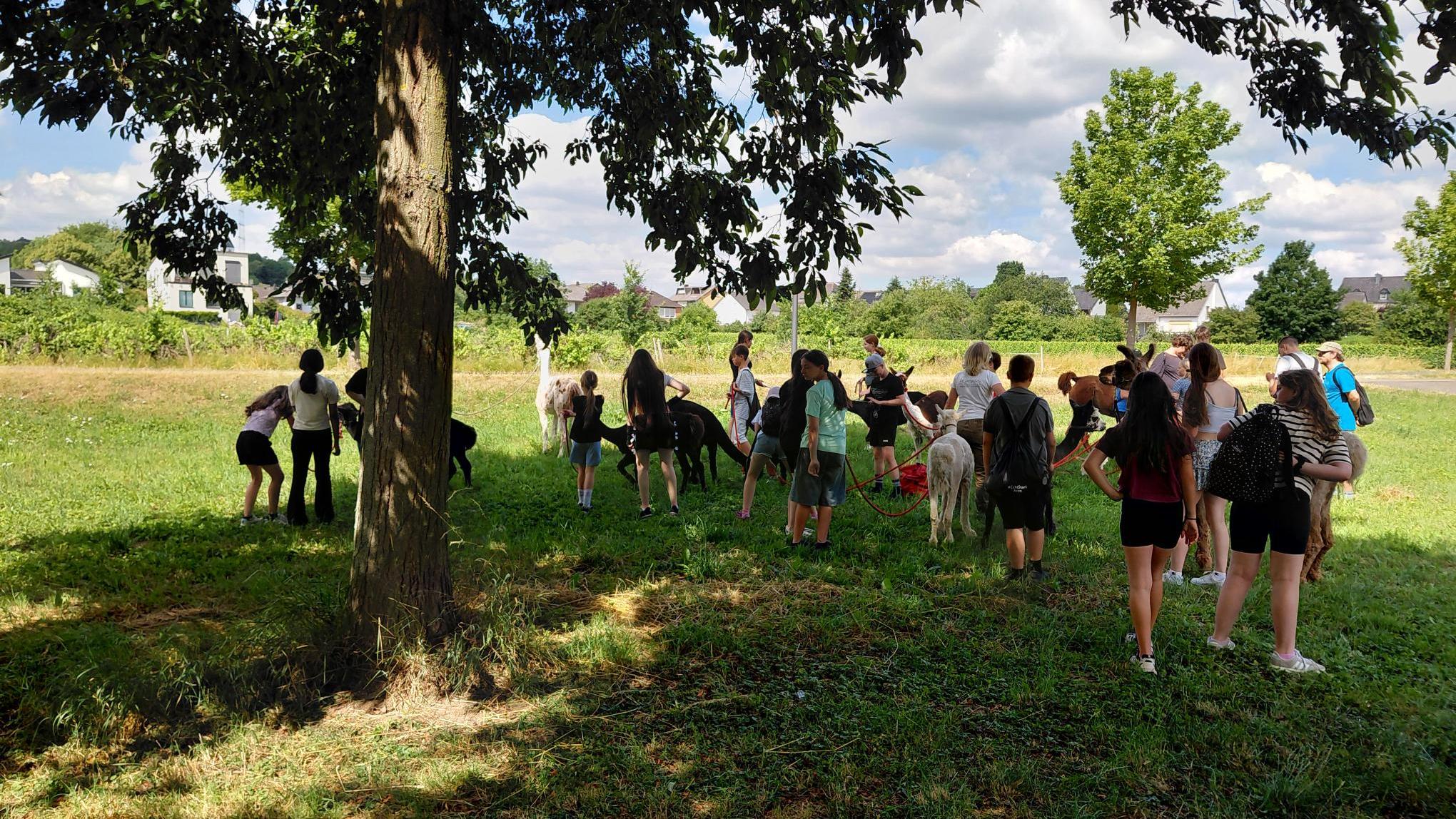 Bei der Ferienfreizeit „#EchtStark“ der Clara-Viebig-Realschule plus entdeckten die Teilnehmenden ihre Stärken, knüpften neue Freundschaften und erlebten eine abwechslungsreiche Woche voller Bewegung, Gemeinschaft und Mut machender Erfahrungen.