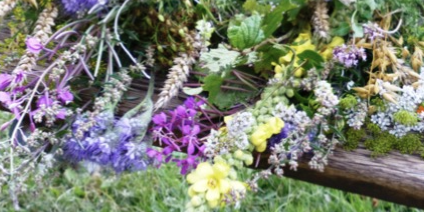 Kräuterwanderung 15. August 2026