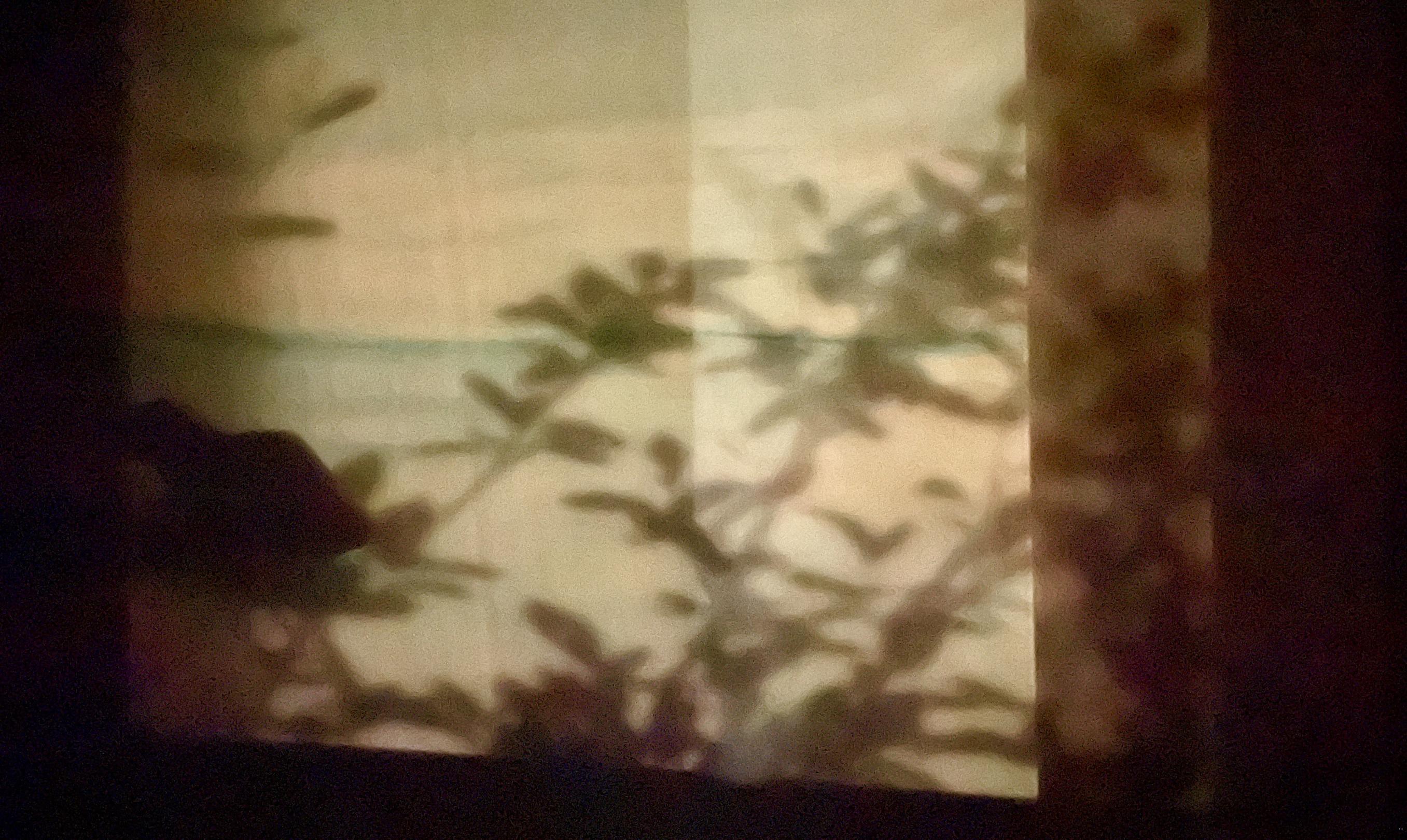 Foto mit Licht und Schatten: Pflanzenschatten vor einem gemalten Himmelbild