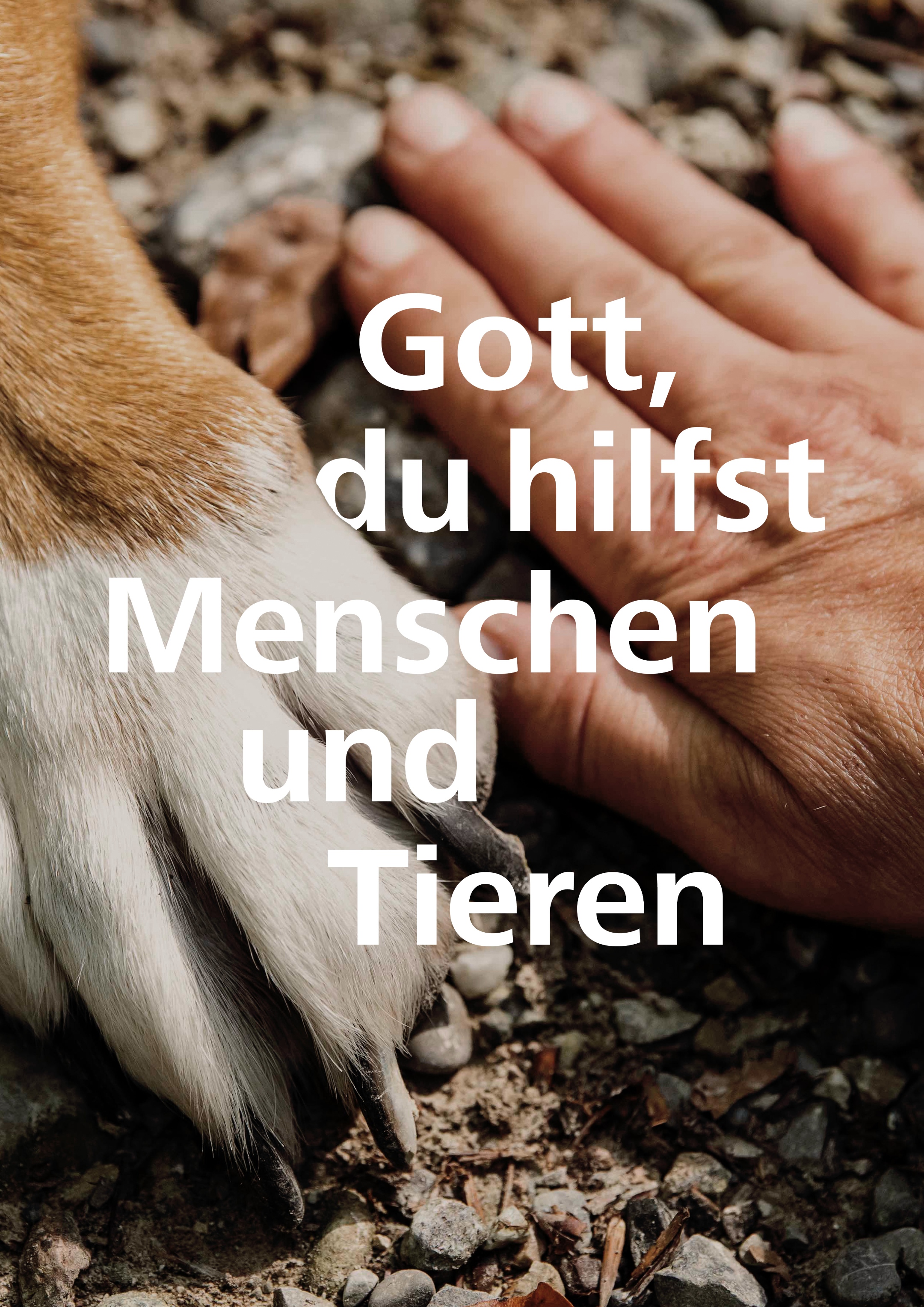 Tierpfote und Menschenhand nebeneinander